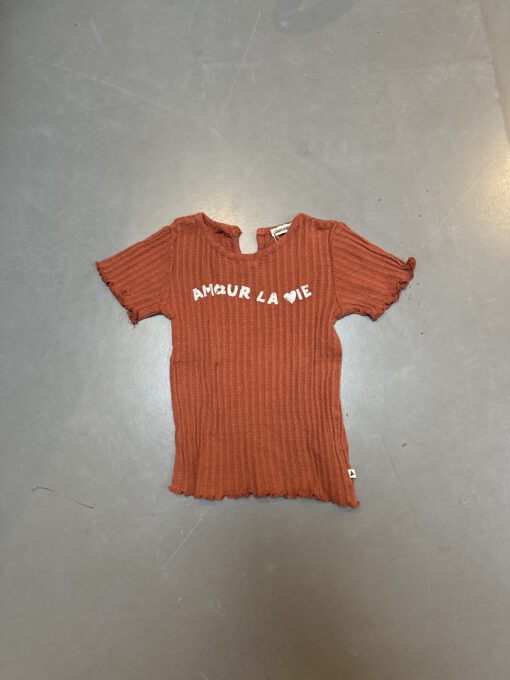 Ammehoela shirt maat 3 jaar