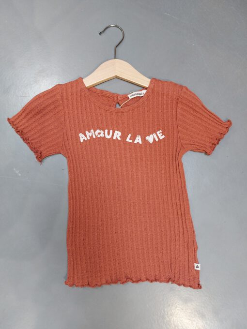 T-shirt Ammehoela maat 3-4 jaar